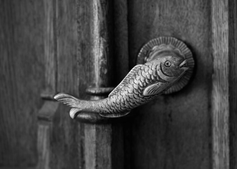 creative photography handle inspiration